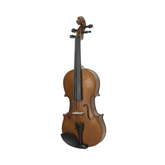 Violino 4/4 Especial Completo com Estojo Dominant